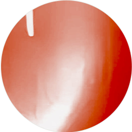 FC020 QUEENS TERRACOTTA