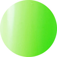B309 - Electric Green