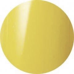 B313 - Dusty Yellow