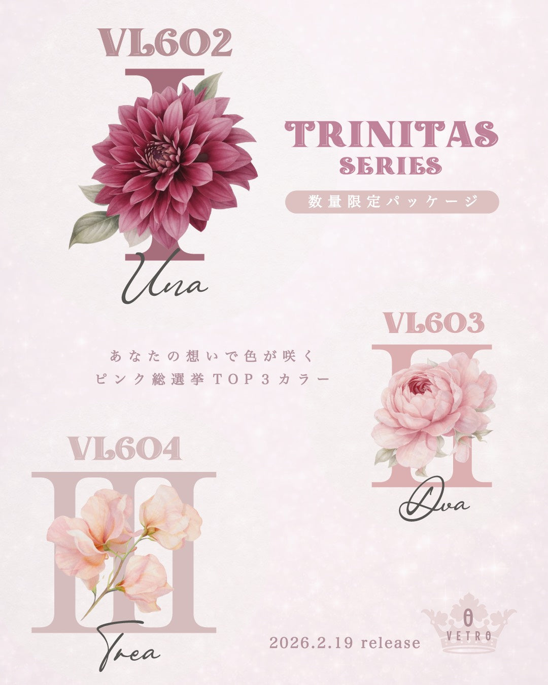 【セット商品】"TRINITAS series"3色(VL602-VL604)セット(限定パッケージ)