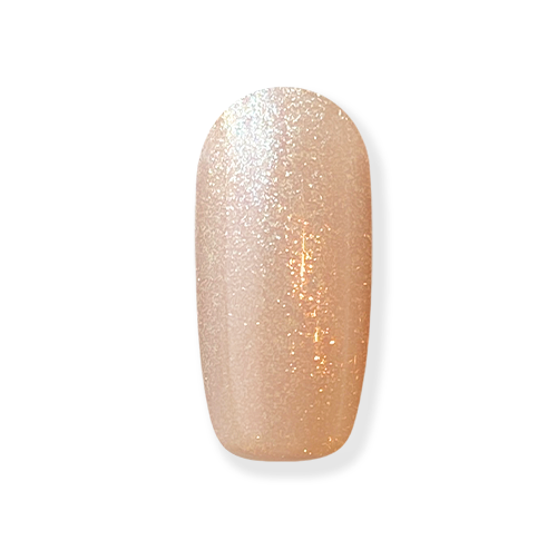 VL553 - Champagne veil